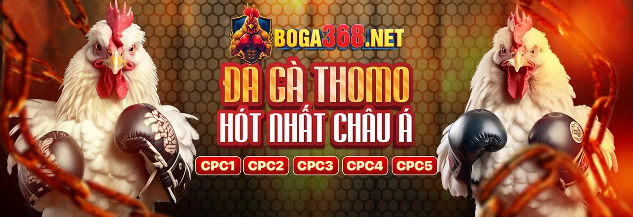 Các biện pháp bảo mật của fbbet link vào